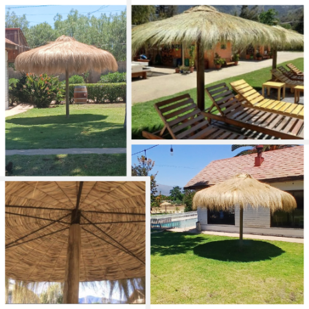 Quitasol Totora Coiron