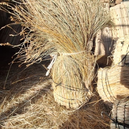 CHASCA COIRON PEQUEÑO